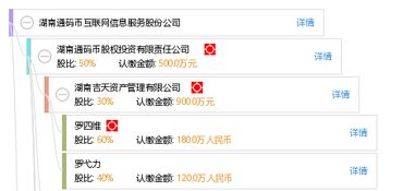 湖南通碼幣互聯網信息服務股份公司 在數字經濟浪潮中的信息服務引領者